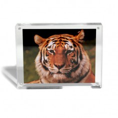 MARCO FOTO MAGNÉTICO 15x11,5cm 2