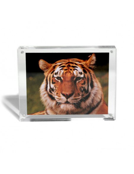 MARCO FOTO MAGNÉTICO 15x11,5cm