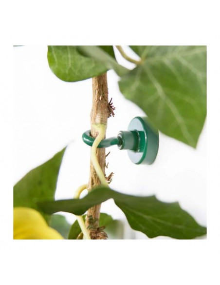 Base magnética neodimio Ø 20 mm gancho verde - ejemplo 1