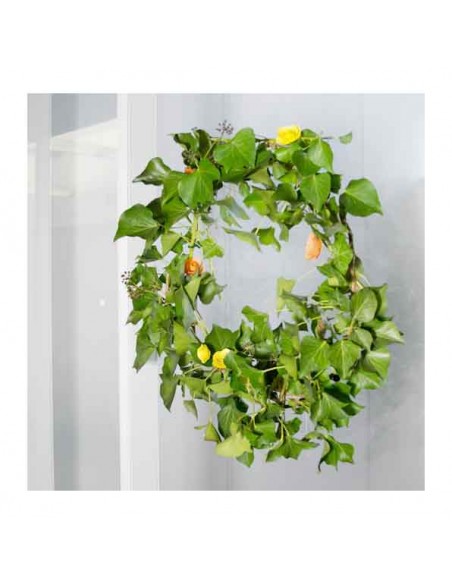 Base magnética neodimio Ø 20 mm gancho verde - ejemplo 2