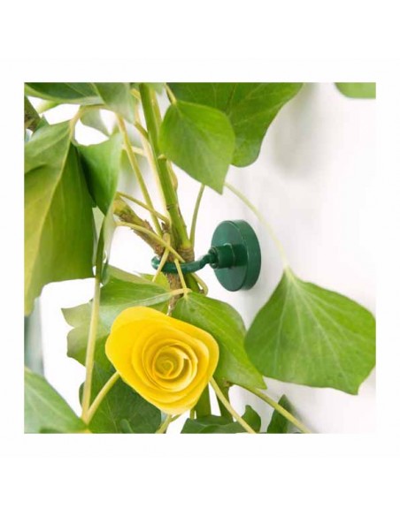 Base magnética neodimio Ø 32 mm gancho verde - comparativa