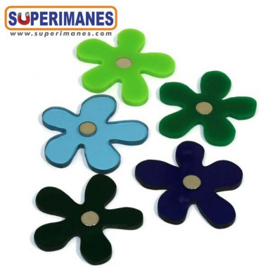 IMANES FLORES WINTER SET 5uds.