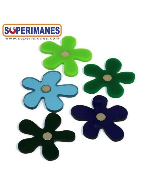 IMANES FLORES WINTER SET 5uds.