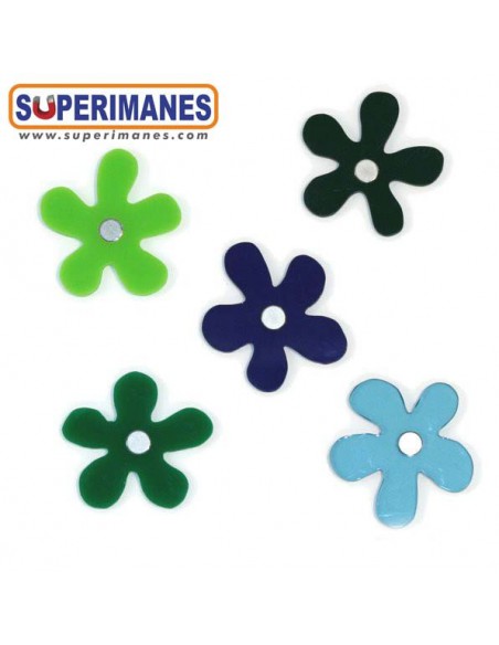 IMANES FLORES WINTER SET 5uds.