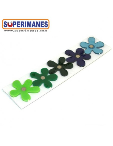 IMANES FLORES WINTER SET 5uds.