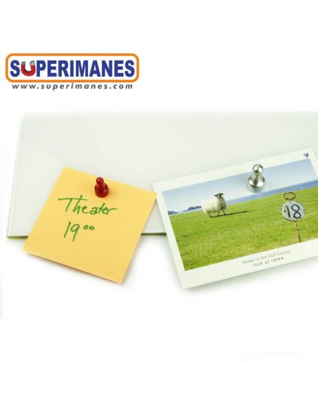 IMANES PEONES COLORES PACK 10 UND