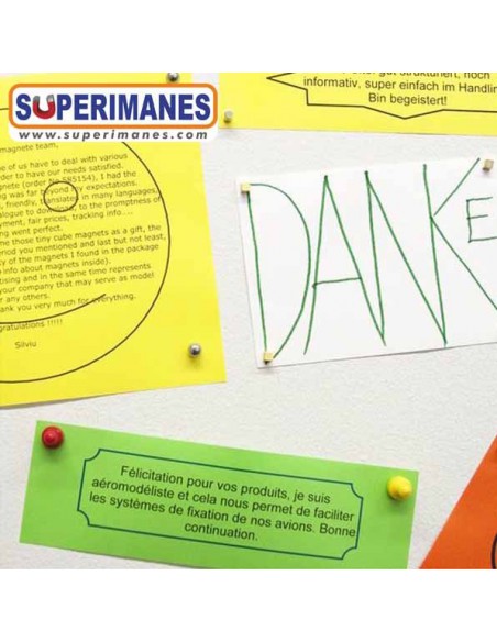 IMANES PEONES COLORES PACK 10 UND