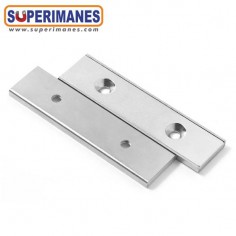 IMÁN EN RECIPIENTE 80x20x4mm 2