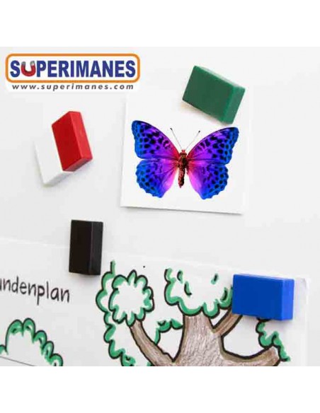 IMÁN FUNDA PLÁSTICO 26x16x7MM COLORES